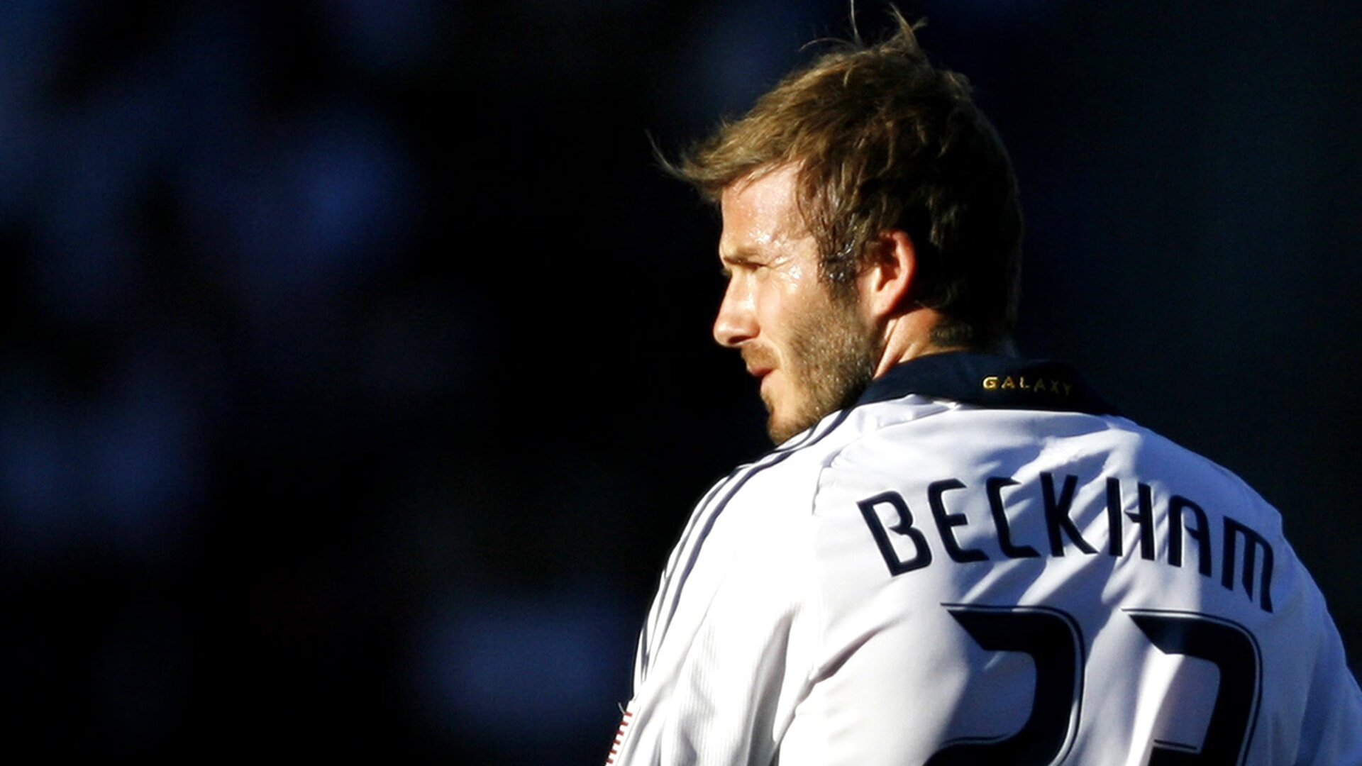 停购令下的中美农业贸易博弈,中美农业协定